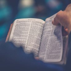 person's hand holding book page