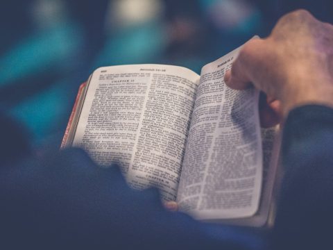 person's hand holding book page