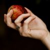 person holding red apple fruit