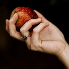 person holding red apple fruit