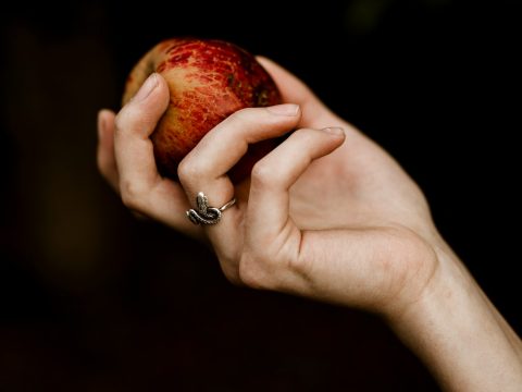 person holding red apple fruit