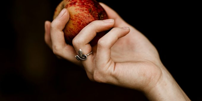 person holding red apple fruit